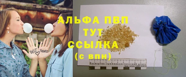 твердый Ельня