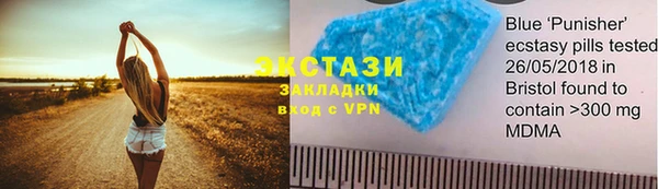 твердый Ельня