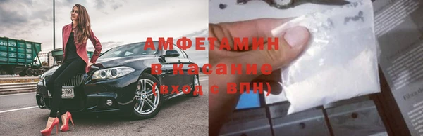твердый Ельня