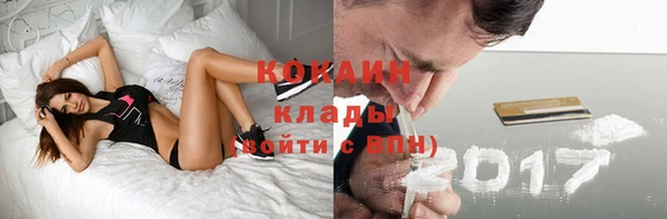 альфа пвп Елизово