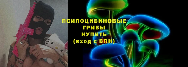 твердый Ельня