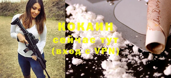 твердый Ельня