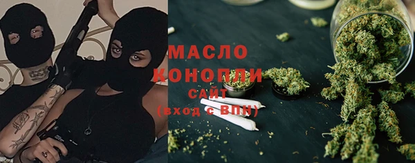 твердый Ельня