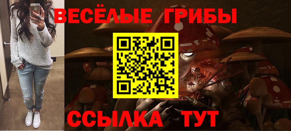 Псилоцибиновые грибы Cubensis  Вход с VPN  Гурьевск 